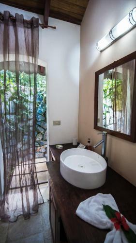 Hotel El Peque�o Gecko Verde