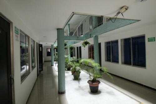 Hotel Zandalo Medellin