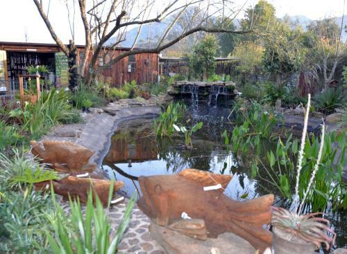 Hostal Fiore Guest Accommodation Greyton