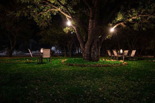 Hotel Golden Impalas Bush Resort