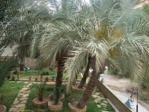 Bed & Breakfast Kasbah Restaurant Amazir