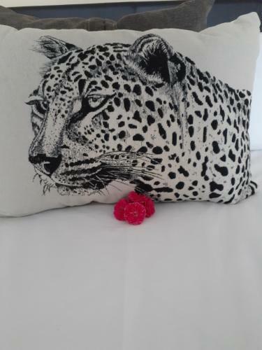 Hostal Bougainvilla Guest House