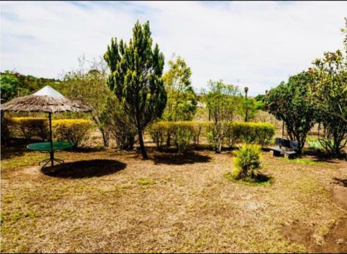 Hostal Bougainvilla Guest House