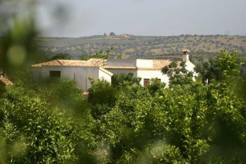 Casa Rural Los Naranjos