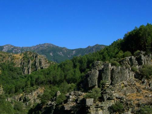 Apartamento La Muralla