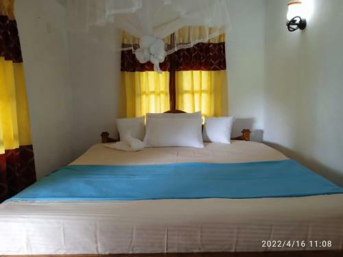 Blue Night Homestay
