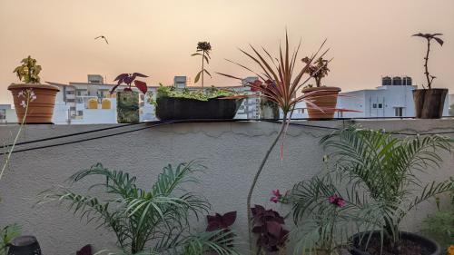 Apartamento Essence By Trip'o ( Lovely 2bhk)