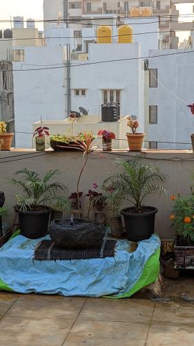 Apartamento Essence By Trip'o ( Lovely 2bhk)