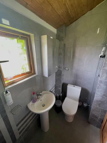 Hostal Alpeta Agrotourism & Winery - Roshnik , Berat