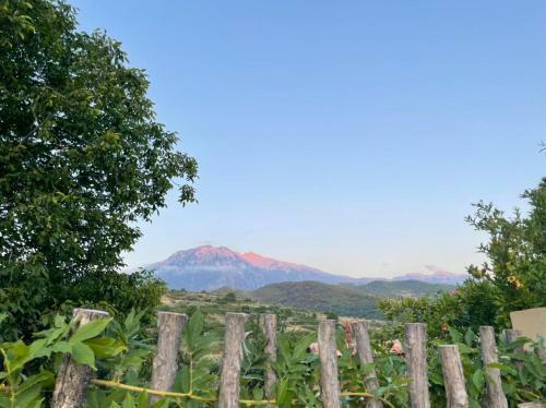 Hostal Alpeta Agrotourism & Winery - Roshnik , Berat