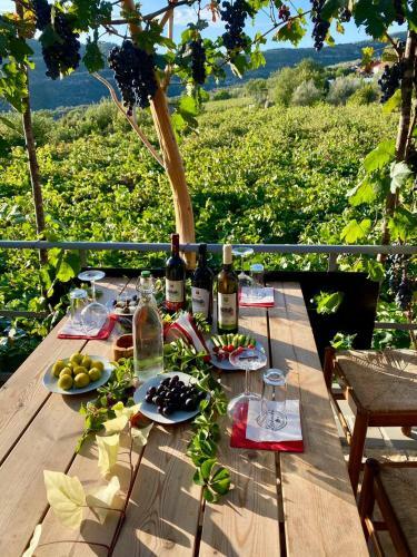 Hostal Alpeta Agrotourism & Winery - Roshnik , Berat