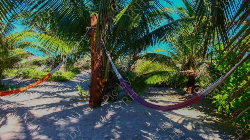 Lemnus Luxury Villa Walking Distance To Chicxulub