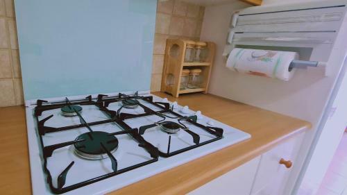 Stay Camelia Apartment