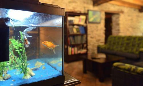 Hostal Agroturismo Zulueta