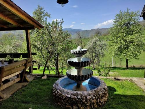 Bed & Breakfast Apatments Radoja - Pliva