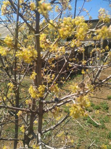 Hostal Ghazaryan Guest House
