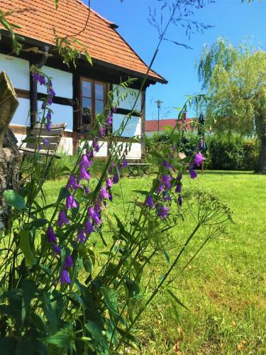 Apartamento Fischerhaus Godewind 45 Qm Studio