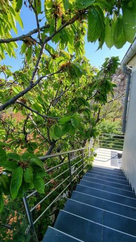 Apartman Sara- Vir