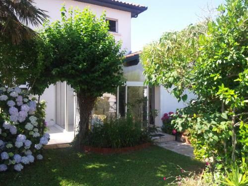 Apartamento Studio Anglet