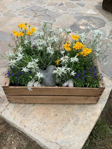 Appartamento Signorile Con Giardino