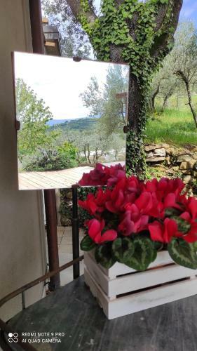 B&B La Casina Di Iris