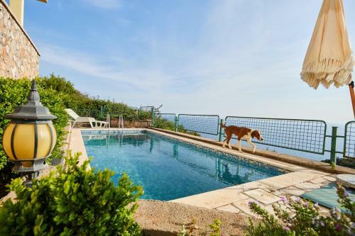 Villa Summer House & Swimming Pool