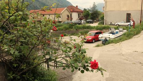 Studio Apartment On Donji Put, Kotor