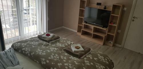 Apartmani Vila Anastasija