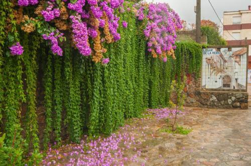 Hostal El Brezo
