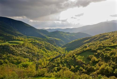 Apartamento Turisme Rural Lo Pall� De Cal Bosch