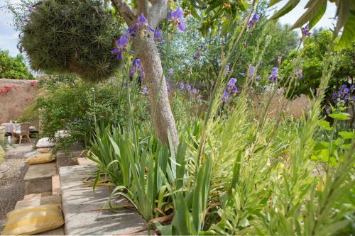 Agroturismo Es Pla De Llodr�