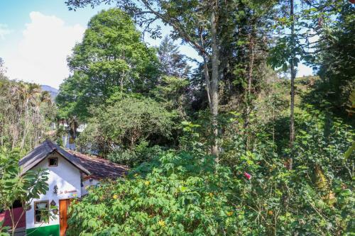 Hostal Finca Los Abuelos - La Planta