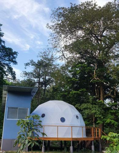 Bitzu Dome, Bijagua Glamping