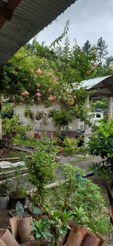 Albergue Yaxlik River Lodge