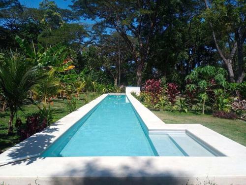 Jungle Lodge- Casa Caracoles-feeling Trees