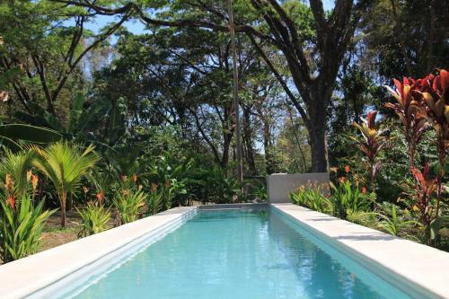 Jungle Lodge- Casa Caracoles-feeling Trees