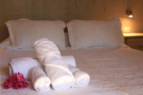 Jungle Lodge- Casa Caracoles-feeling Trees