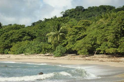 Jungle Lodge- Casa Caracoles-feeling Trees
