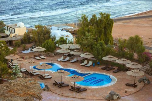 Hotel The Bedouin Moon Studios