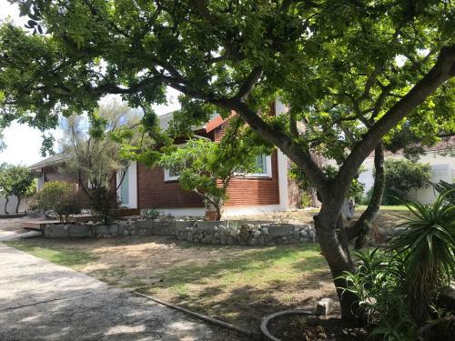African Holiday Home In Table View