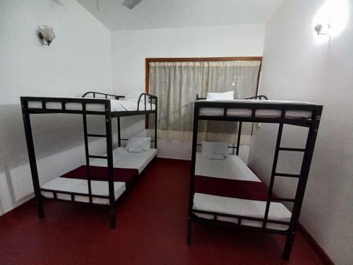 Albergue Lazy Bear Inn Kandy