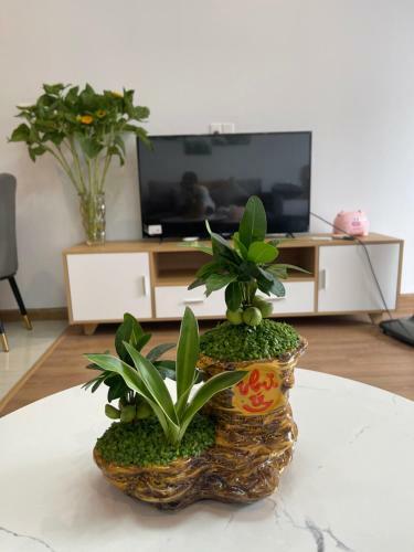 Apartamento Lan Ng?c Homestay B2112
