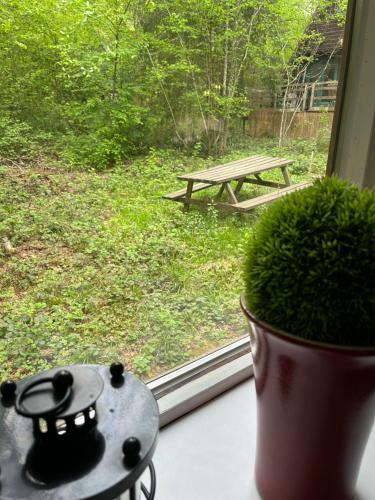 Chalet / Bungalow 177 Sunclass Durbuy In De Ardense Bossen