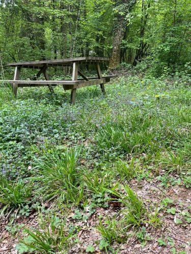 Chalet / Bungalow 177 Sunclass Durbuy In De Ardense Bossen