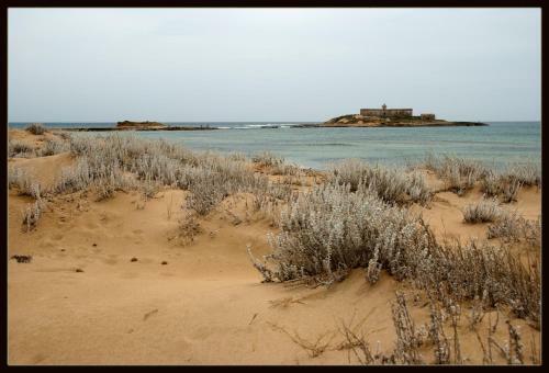 Maison Shamandura Near The Sandy Beach