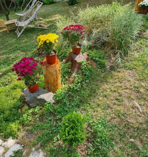 Zlatibor Vila Apartman