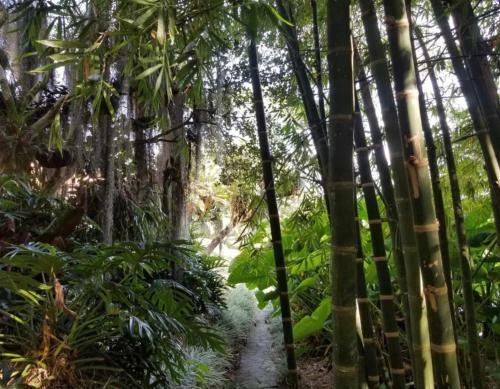 Lodge Finca En Copacabana