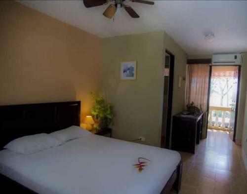 Bed & Breakfast (hotel Carara) House Of Macaw