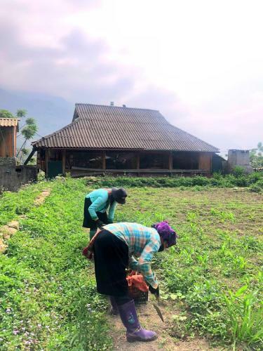 Agroturismo Sapa Natural Forest Farmstay