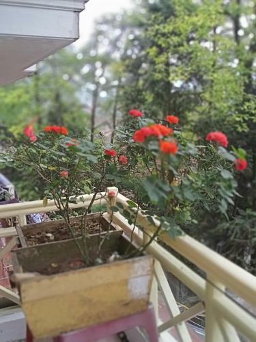 Bed & Breakfast Hoang Long Hotel